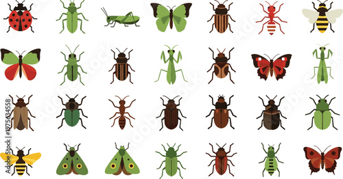 Detailed Insect Collection Set Featuring Beetle Butterfly Ant Grasshopper Wasp and Various Bug Species with Realistic Nature Illustration Design