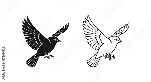 Flying Birds Silhouette Designs - Stylish Art Prints Vector