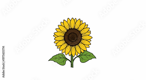 A vibrant yellow sunflower with a brown center and green leaves on a white background