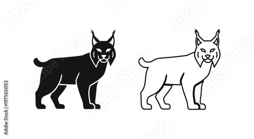Lynx Cat Silhouette Comparison Guide Vector