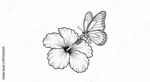 Delicate drawing of a butterfly landing on a hibiscus flower