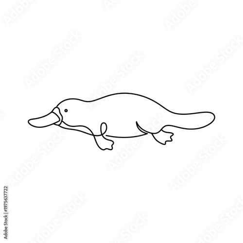 Line drawing of a platypus swimming.