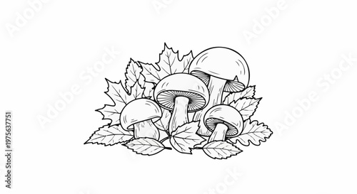 A black and white sketch of mushrooms and autumn leaves