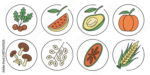 Colorful collection of fresh vegetables arranged together