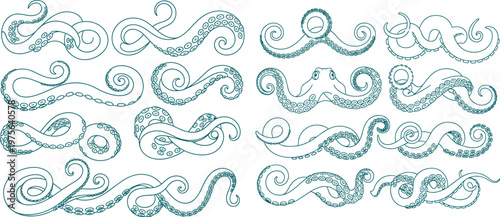 Collection of stylized octopus tentacles in delicate line art style, featuring swirling shapes and suction cups