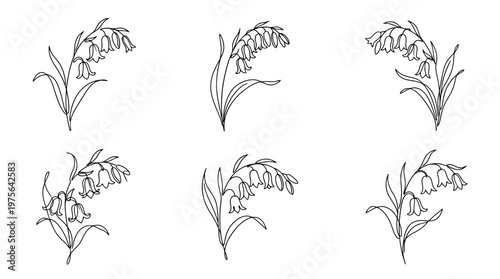 bluebell , six black Continuous Line Art (Single Line) vector set collection , white background , PNG and SVG