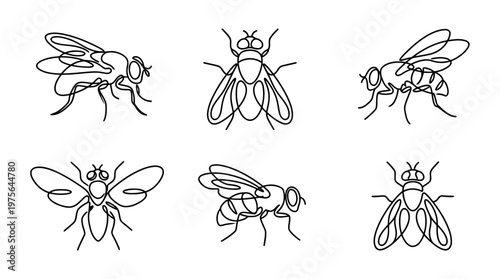 fly , six black Continuous Line Art (Single Line) vector set collection , white background , PNG and SVG