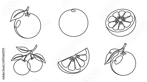 grapefruit , six black Continuous Line Art (Single Line) vector set collection , white background , PNG and SVG