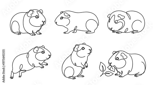 guinea pig , six black Continuous Line Art (Single Line) vector set collection , white background , PNG and SVG