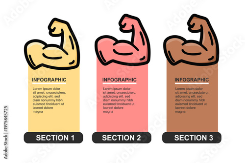 Set of Vector Infographic Gym muscle for posters and social media arm muscles