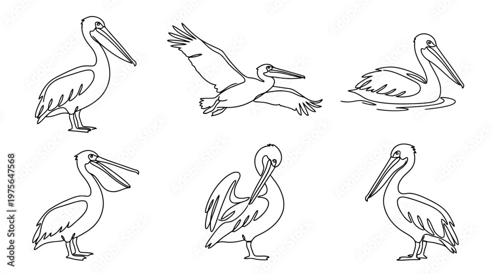 Obraz premium pelican , six black Continuous Line Art (Single Line) vector set collection , white background , PNG and SVG