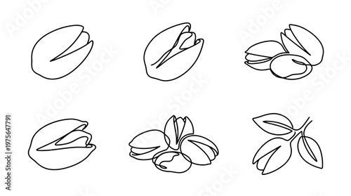pistachio , six black Continuous Line Art (Single Line) vector set collection , white background , PNG and SVG