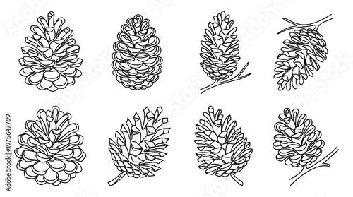 pinecone , six black Continuous Line Art (Single Line) vector set collection , white background , PNG and SVG