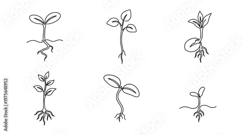 seedling , six black Continuous Line Art (Single Line) vector set collection , white background , PNG and SVG
