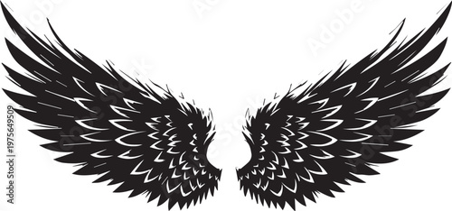 Pair of large black feathered wings spread wide against a white background.