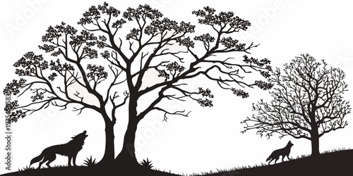 A solitary tree with a lush, rounded canopy stands against the sky