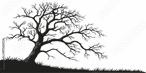 Silhouette of a barren tree against a bright horizon