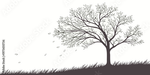 Silhouette of a tree with a winding path beneath it