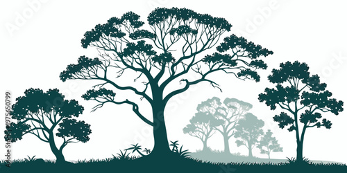 Silhouette of a tree with a full and rounded canopy