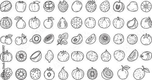 Collection of diverse seed illustrations in black and white