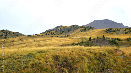 Fotografie Landscape along Route des Grandes Alpes D902 near Col de la Cayolle, French Alps, France, Europe