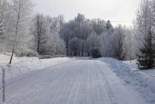 winter countryside road with snowbanks trees and cold soft daylight atmosphere