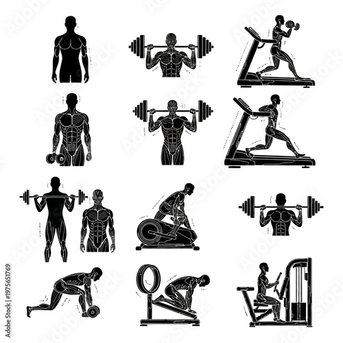 Monochromatic Silhouettes of People Exercising with Various Gym Equipment.