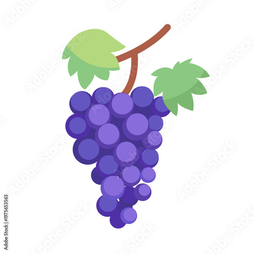 Bunch of Grapes with Stem and Leaf Isolated on White. Flat Vector Illustration.  