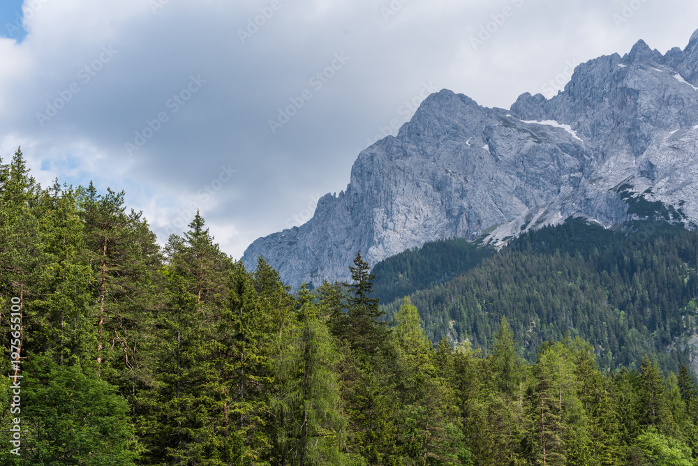 Fototapeta premium Massive grey rock face of Waxenstein mountains with dark green forest in summer