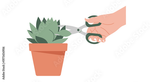 Hand trimming a succulent plant in a ceramic pot with garden scissors. EPS Editable. Vector Illustrations.