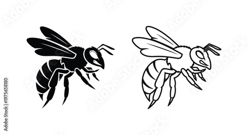 Bee vs Wasp Key Differences Illustrated Vector