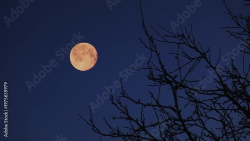 Full Moon, stars and planets above landscape silhouettes.