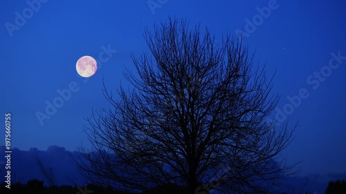 Full Moon, stars and planets above landscape silhouettes.