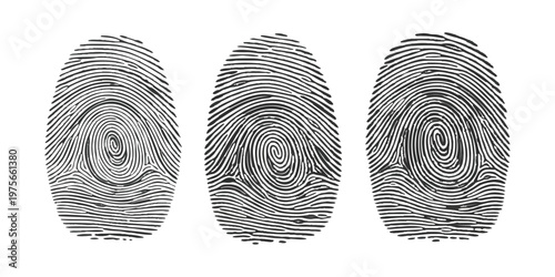 Set of three detailed human fingerprint patterns for biometric security and forensic identification vector illustration