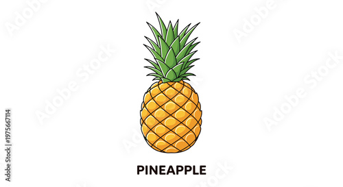 Detailed illustration of a whole ripe pineapple with green leaves on a white background, including text at the bottom for educational use.