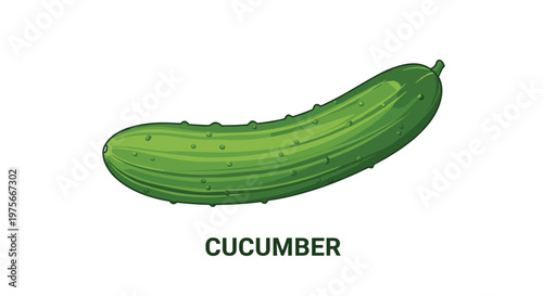 Simple and clean illustration of a long green cucumber with the word CUCUMBER written in bold capital letters below it on a white background.
