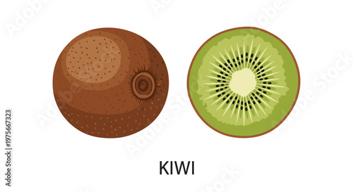 High quality illustration of a whole brown fuzzy kiwi fruit and a bright green half showing seeds with text below it on a white background now.