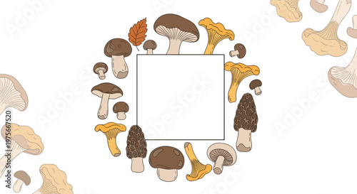 Decorative square frame surrounded by various types of hand-drawn mushrooms including chanterelles, morels, and porcini on a white background.