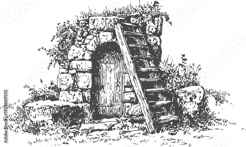 Stone cellar entrance with wooden door and ladder surrounded by grass and rocks