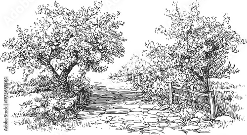 hand drawn rural landscape with two trees and stone pathway fenced on one side