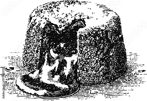 Vintage illustration of a melting cheese wheel with textured rind and creamy interior