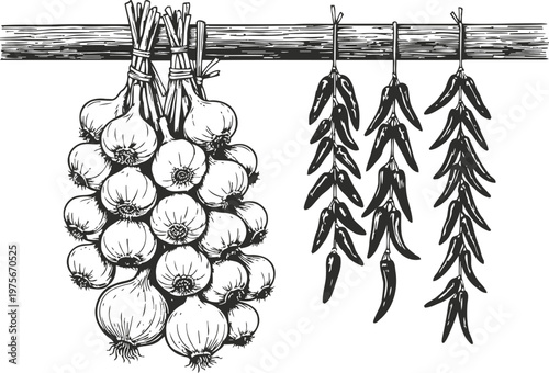 Garlic bulbs and chili peppers hanging on a wooden beam for drying, cooking herbs and spices