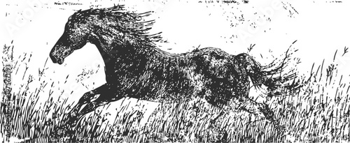 Black ink drawing of a galloping horse in a grassy field with flowing mane and tail