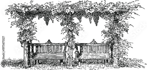Vintage garden arbor with grapevine and two wooden benches, shaded outdoor seating area illustration