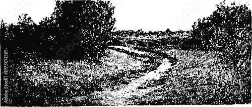 Rustic winding dirt path through dense forest trees in countryside landscape black and white