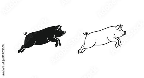 Pigs Symbolism Black vs White Pig Design Guide Vector