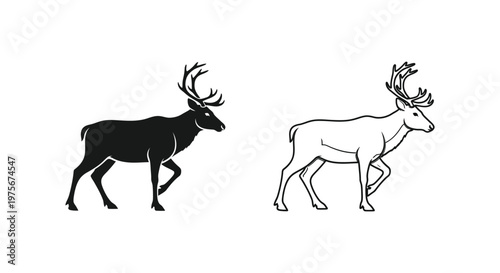 Reindeer vs Caribou Ancient Deer Species Comparison Vector