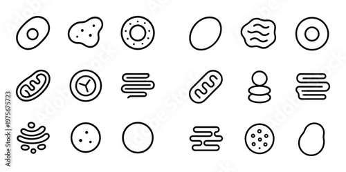 Cell organelle icons showing cellular components on white background