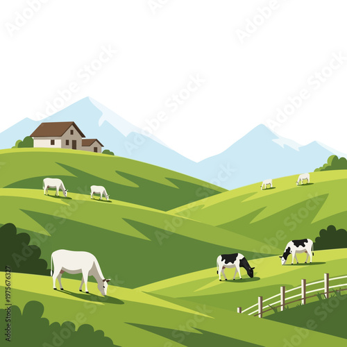 cows grazing on green hills with house and mountains.
