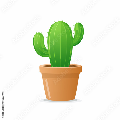 Single green cactus in a small clay pot is isolated on a plain white background for houseplants.